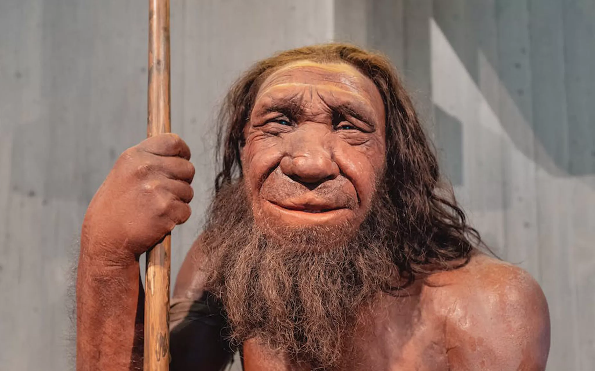 Homme de Neandertal