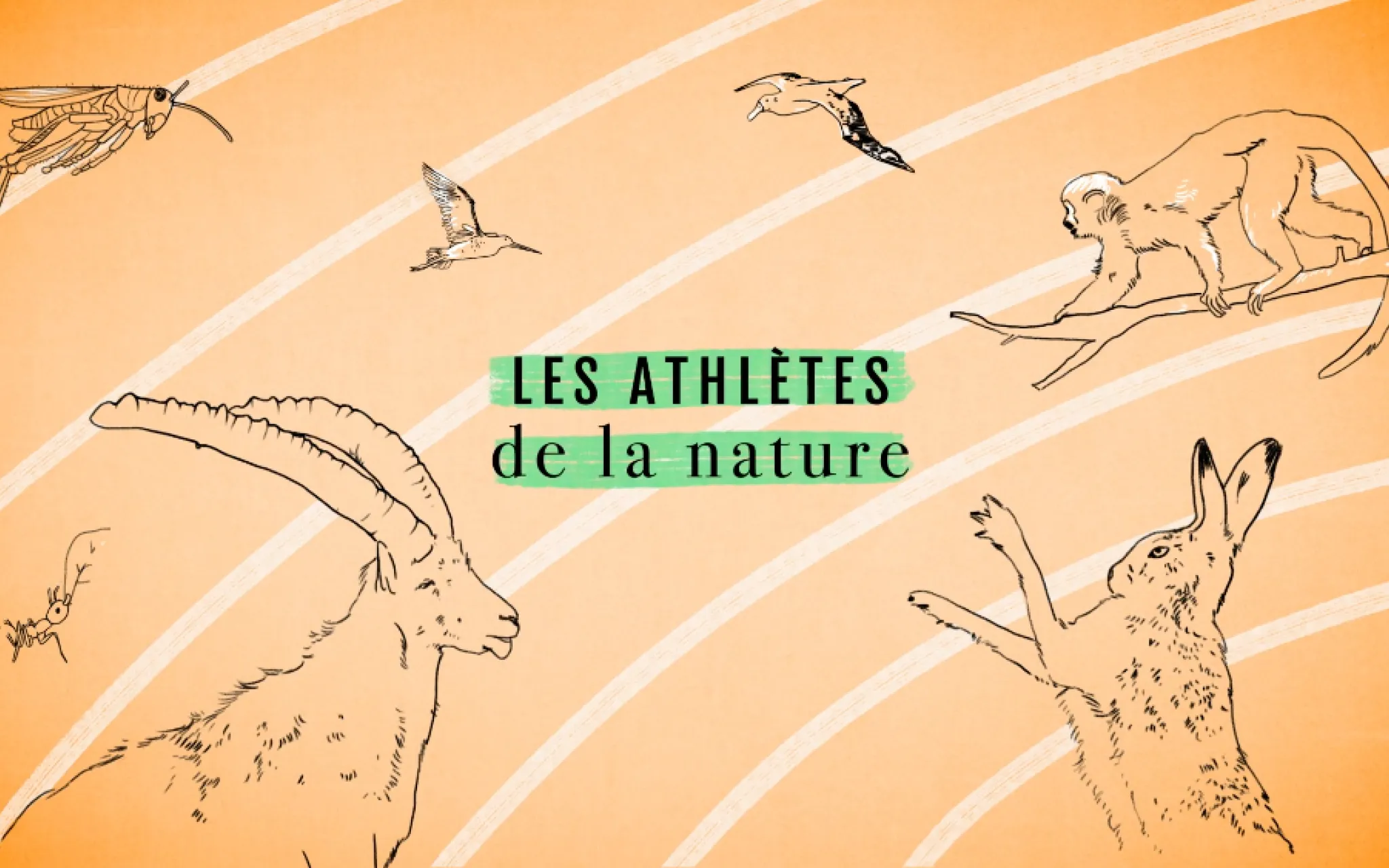 Les athlètes de la nature