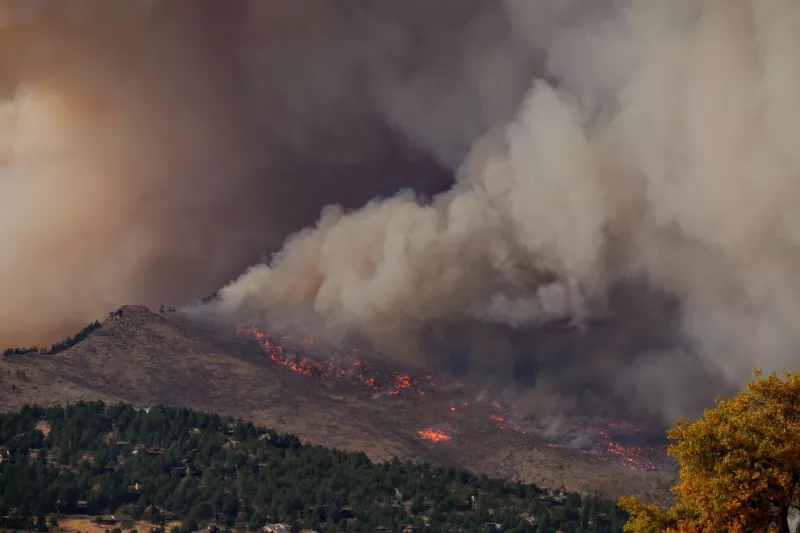 Incendie en forêt