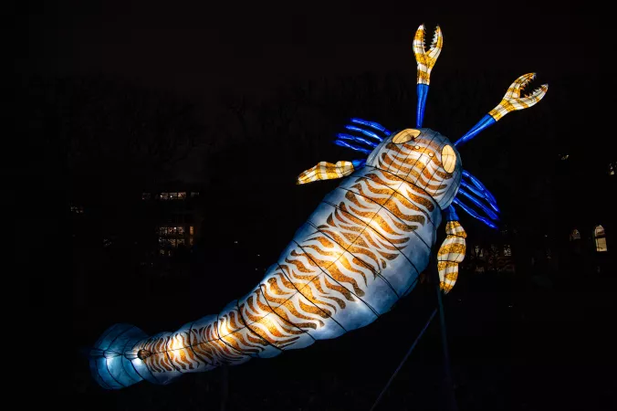 Photo d'une structure lumineuse géante de scorpion de mer