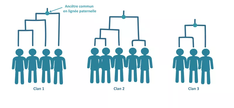 Illustration représentant des clans patrilinéaires, chacun affilié à un ancêtre commun